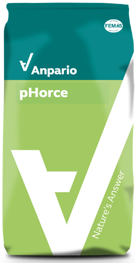 PHORCE